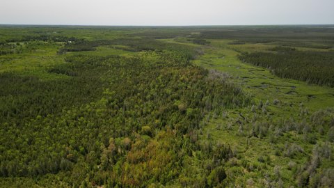 480 Acres in Blaney Park