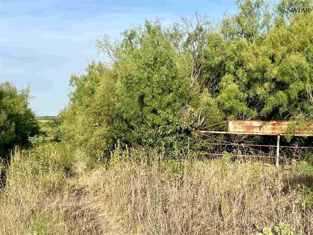 Picture 22