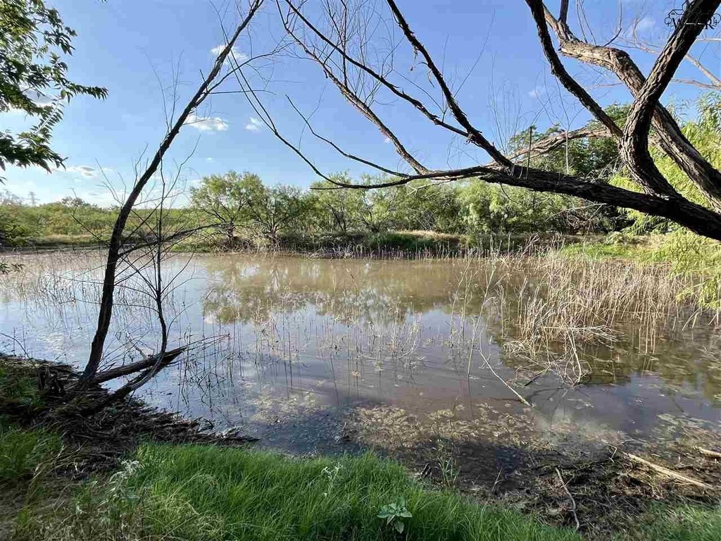 Picture 11