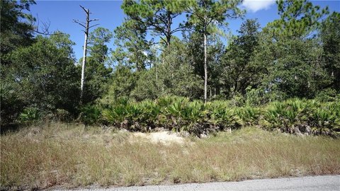 Lehigh Acres Wooded Half Acre