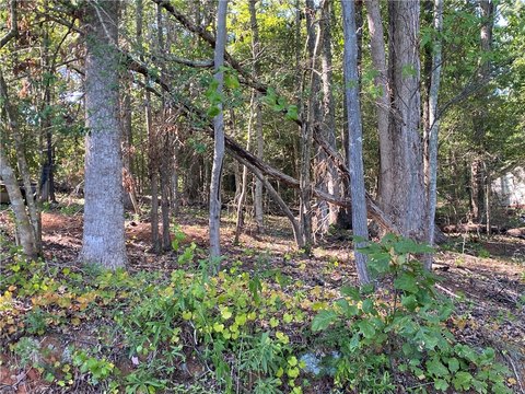 Land, Anderson, SC