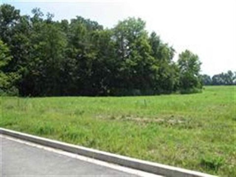 Residential Land in East Peoria