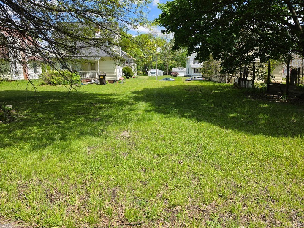 Picture 3