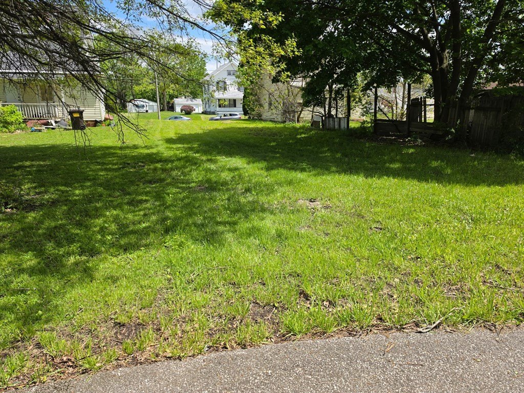 Picture 5