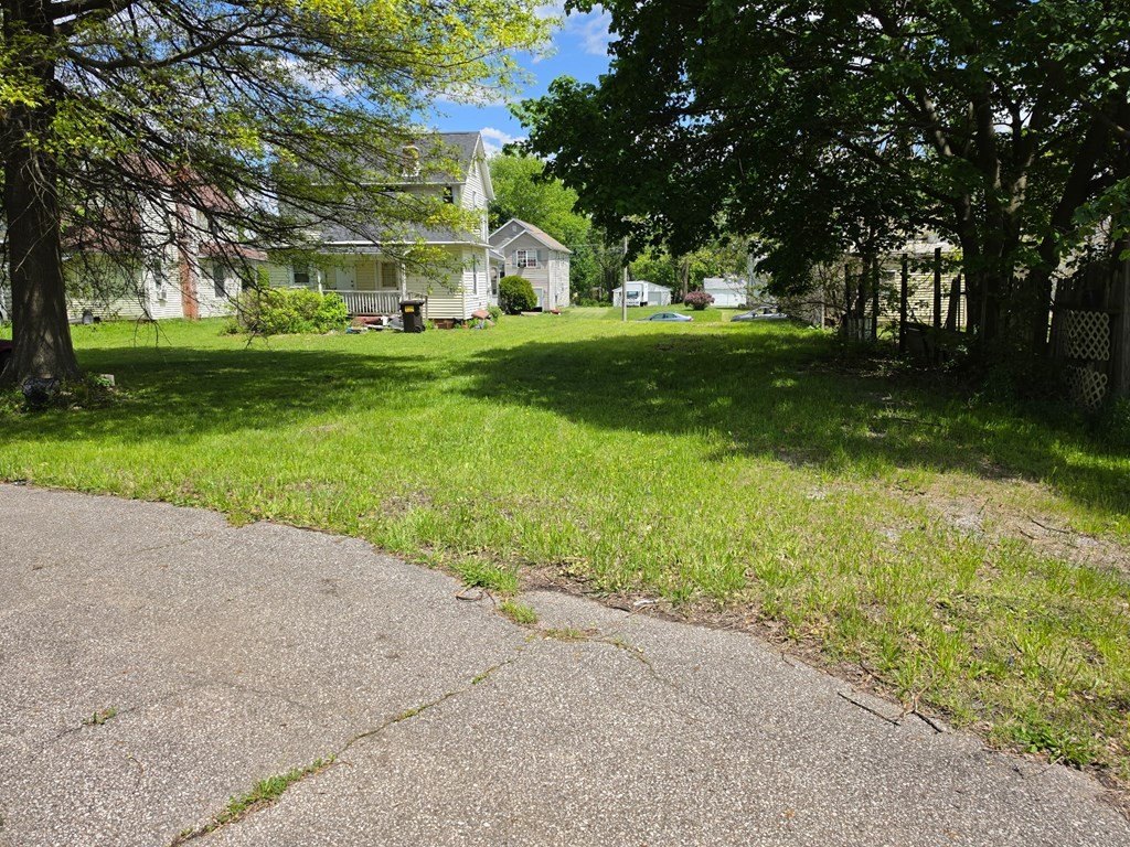 Picture 4