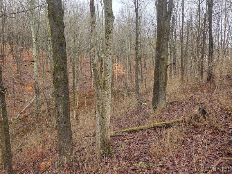 West Valley Land Parcel