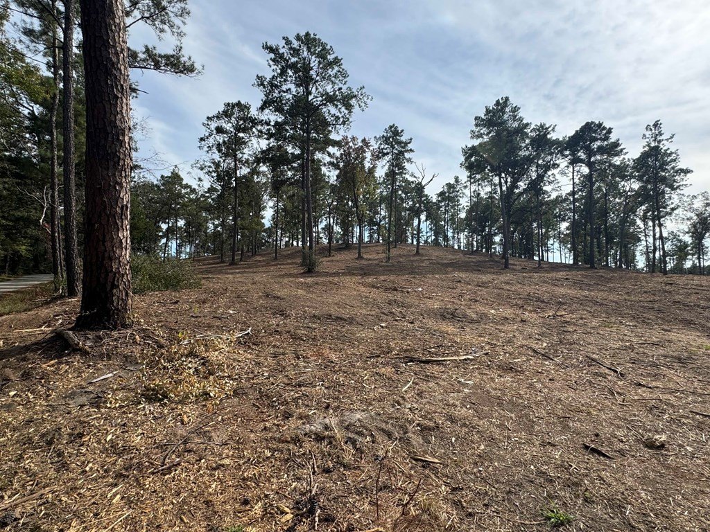 Picture 24