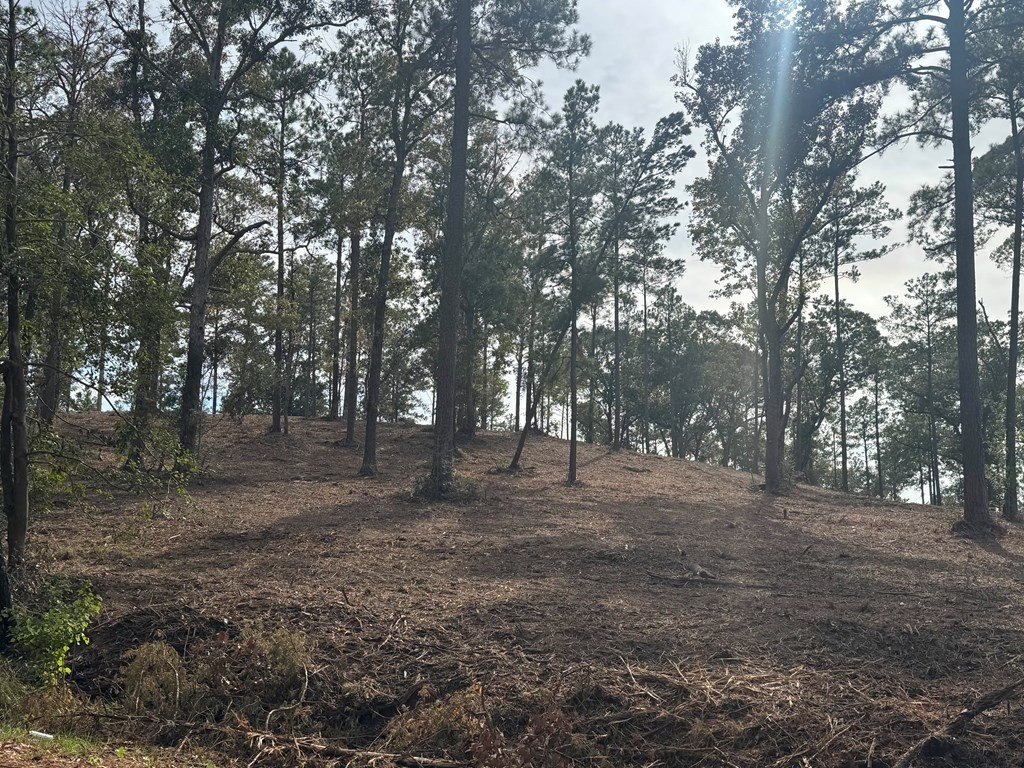 Picture 16