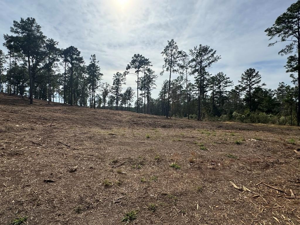 Land Near Lake Sam Rayburn