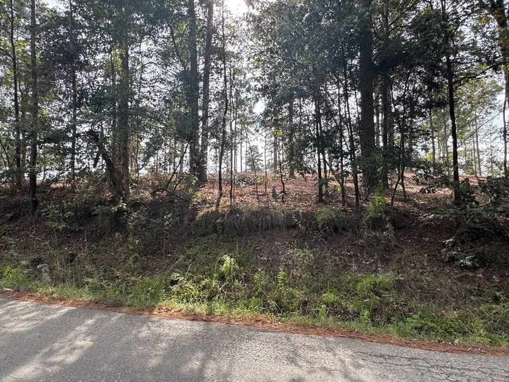 Picture 15