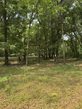 Hartford, AL 10-Acre Land