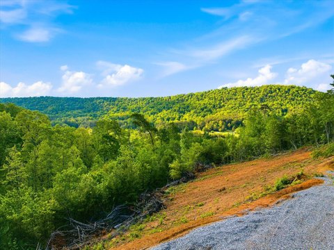 LAND - Tellico Plains, TN