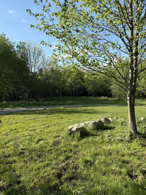 Picture 29