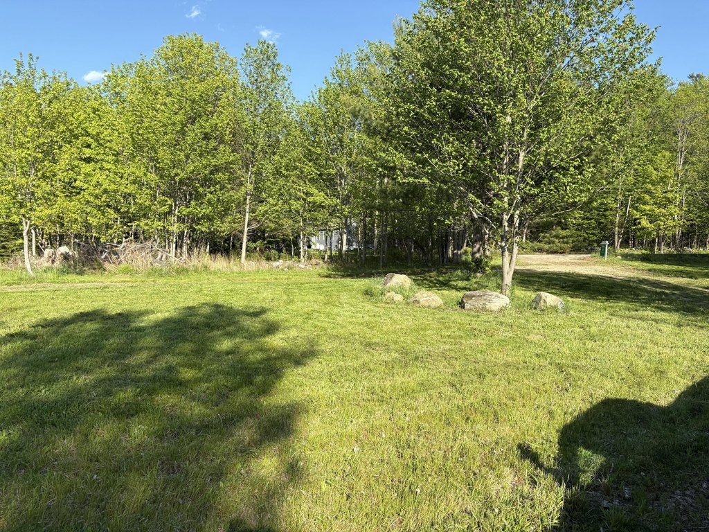 Picture 31