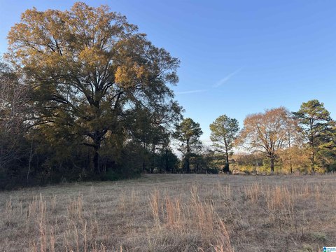 LAND - ALPINE, AL