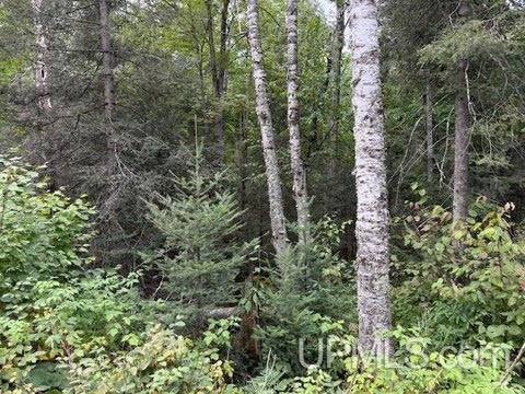VACANT LAND, Florence T-WI, WI
