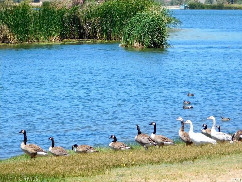 Picture 23