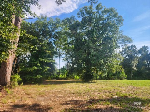 Ready-to-Build Lot in Stapleton