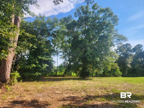 Ready-to-Build Lot in Stapleton