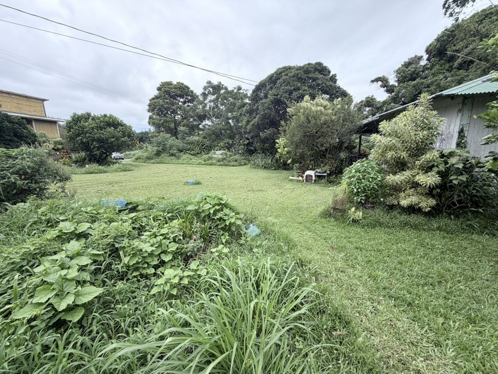 Picture 5