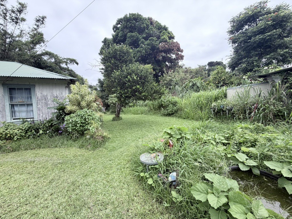 Picture 4