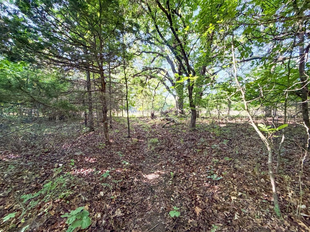 Picture 14