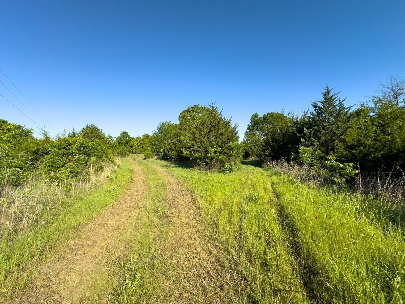 Expansive Ranch with Hunting Potential