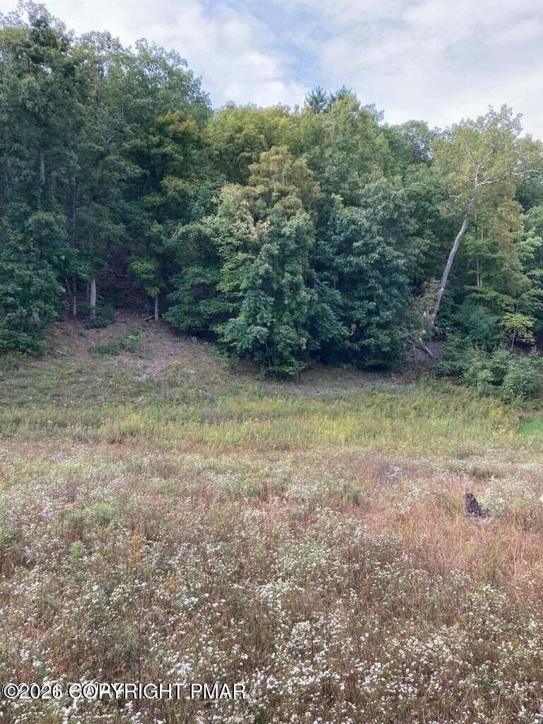 Prime Building Parcel in Milford