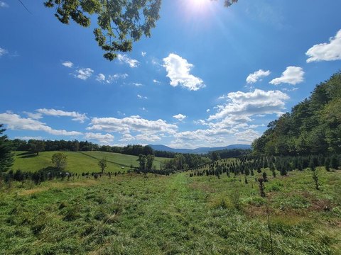 Land, Elk Creek, VA