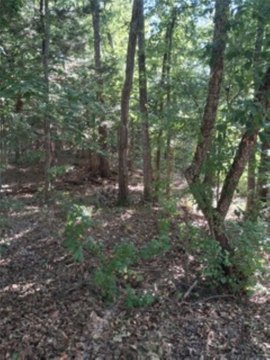 LAND - Murchison, TX