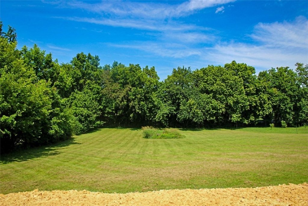 Picture 4