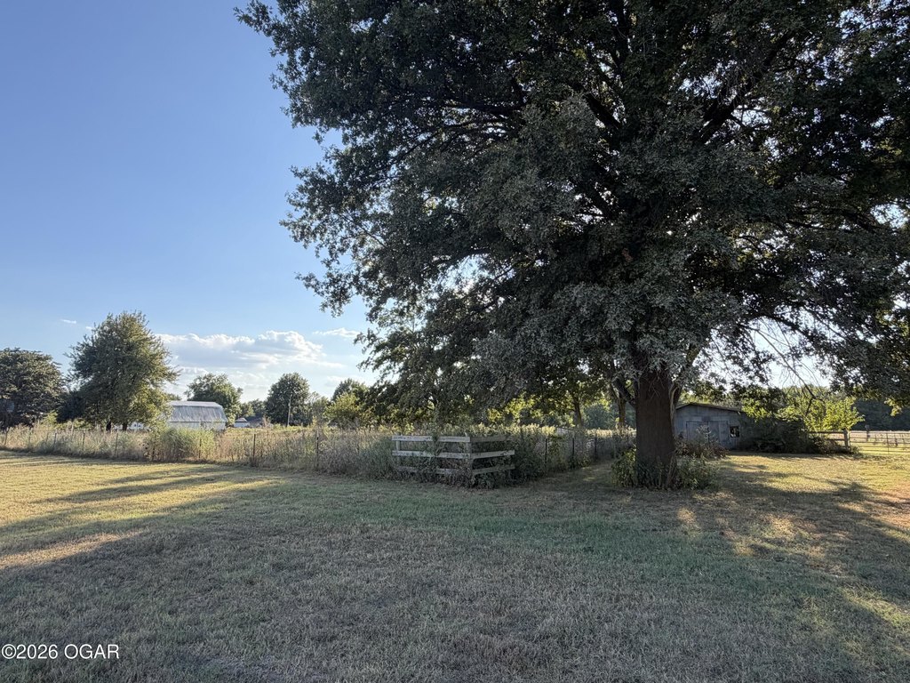 Picture 7