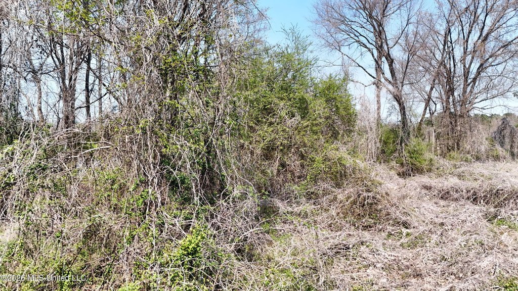 Picture 45
