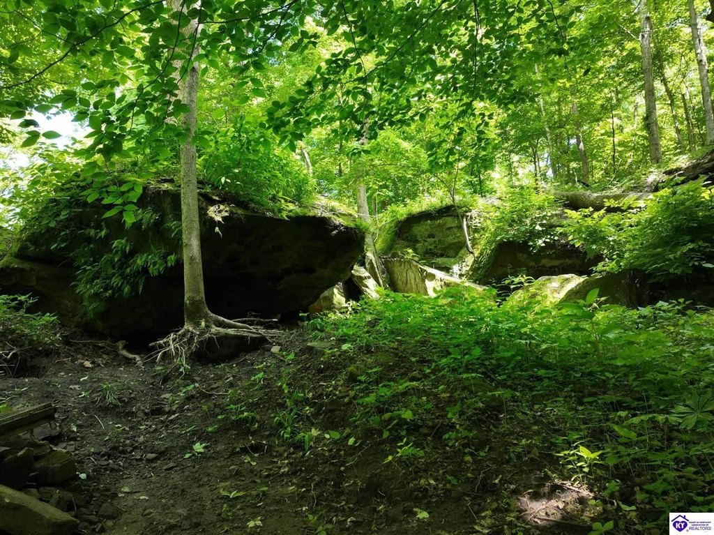 Picture 4
