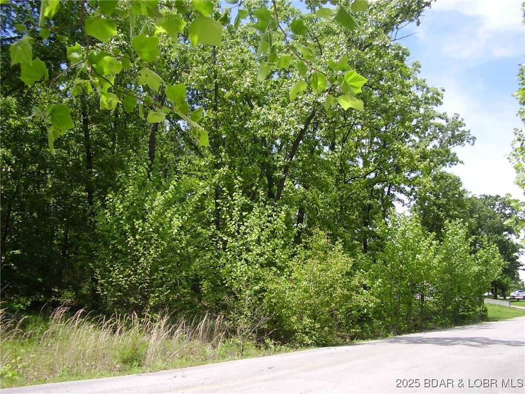 Residential Land in Camdenton, MO