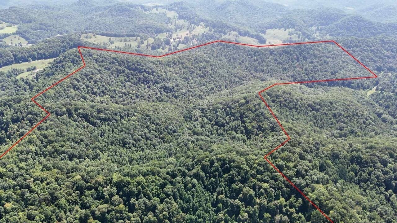 385 Acres Hunter's Paradise
