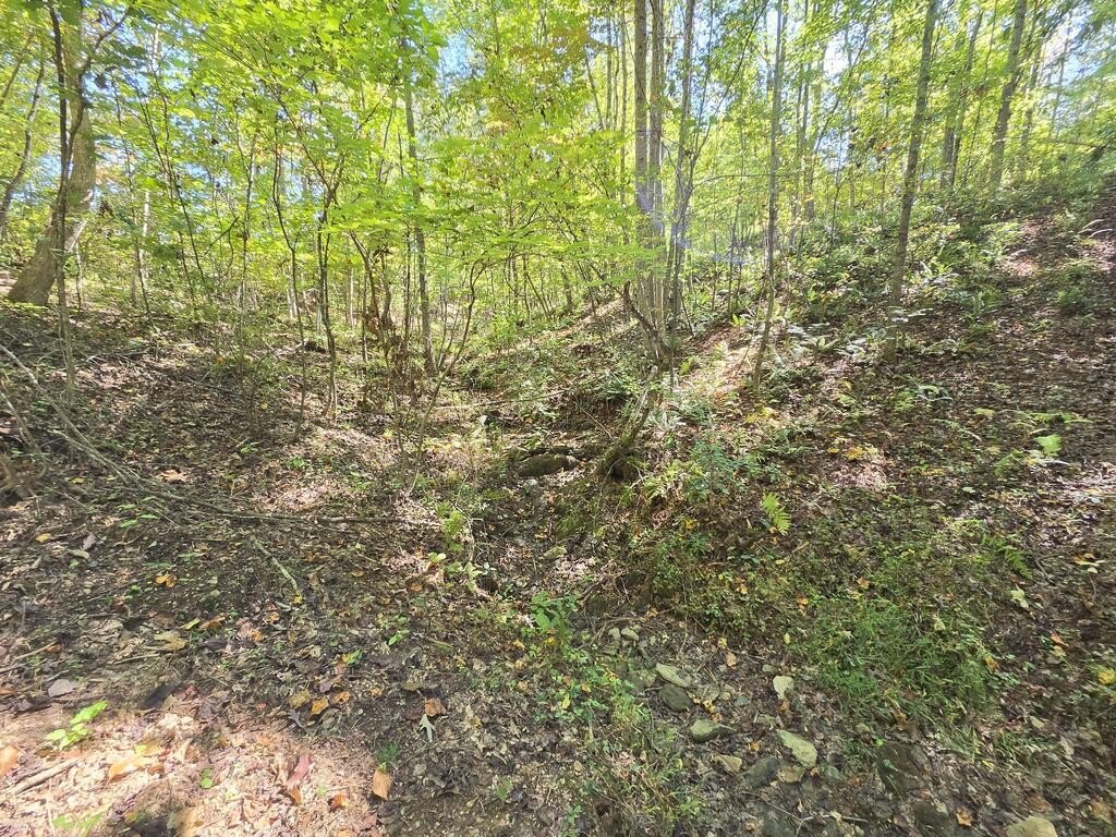 Picture 8