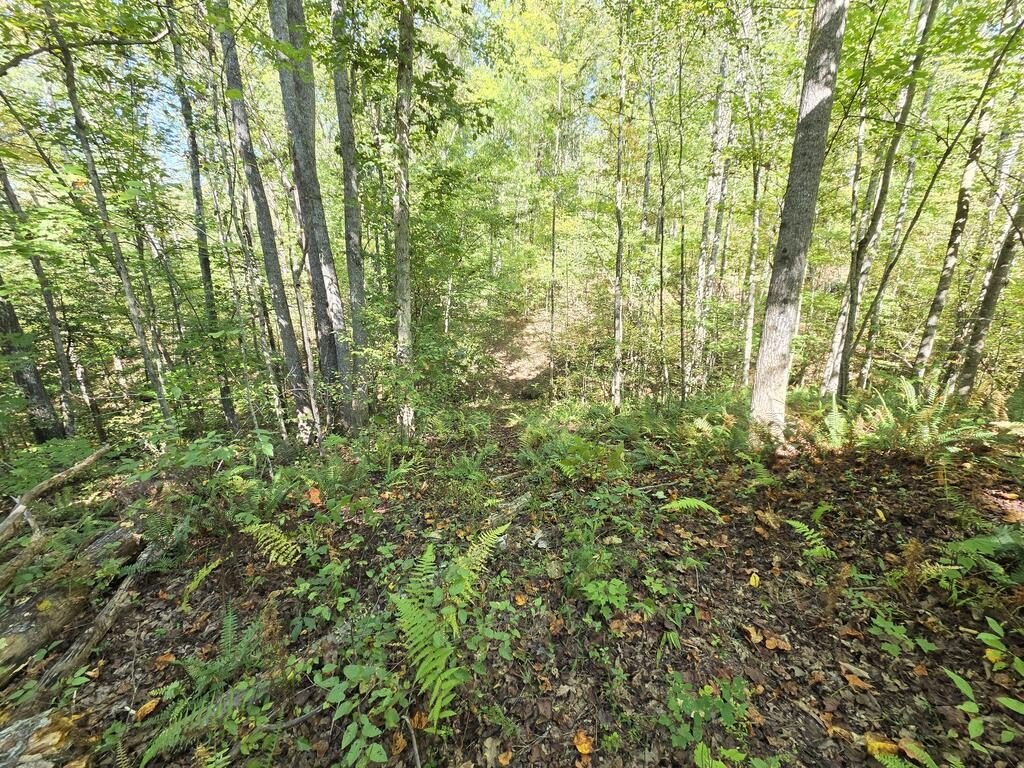 Picture 10
