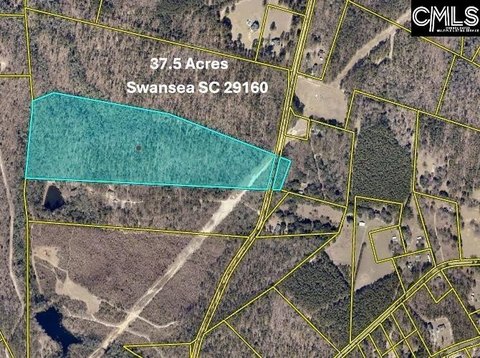 Wooded Acreage with Road Frontage