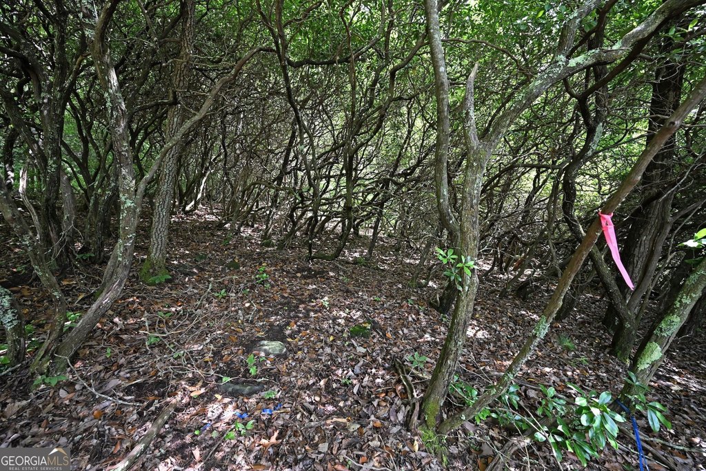 Picture 19