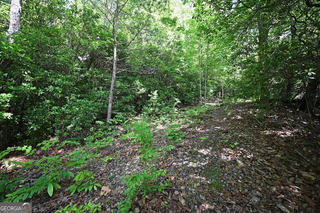 Picture 10