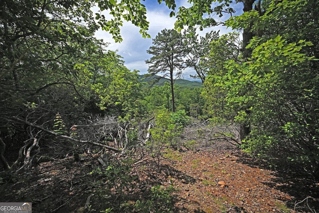 Picture 21