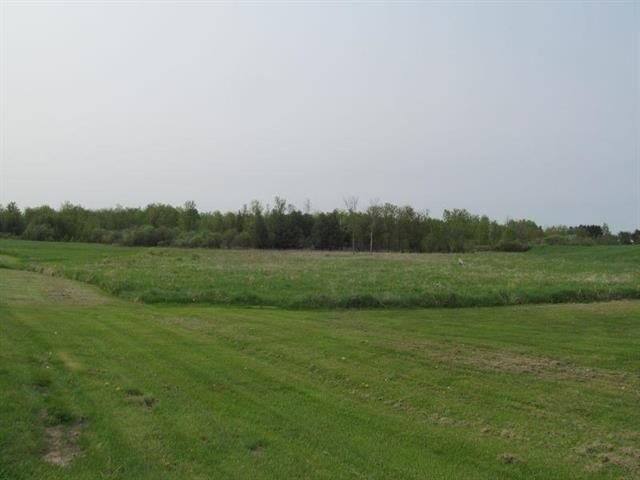 Picture 7