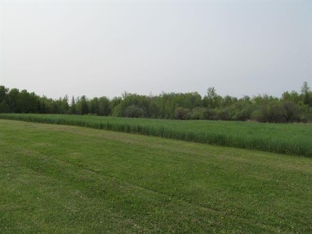 Picture 10