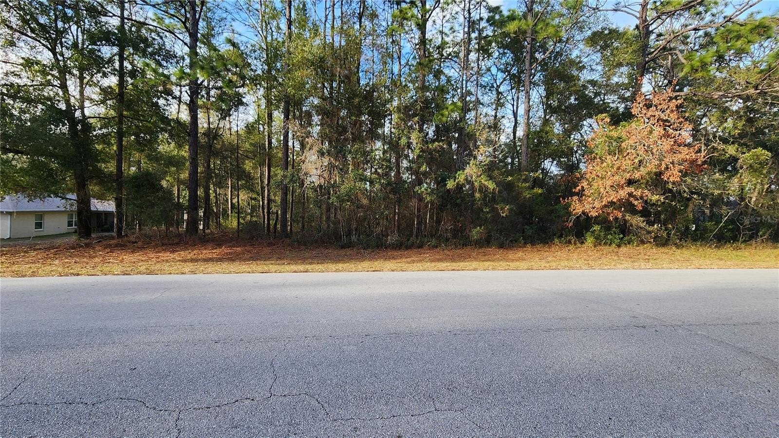 Citrus Springs Homesite on Paved Road