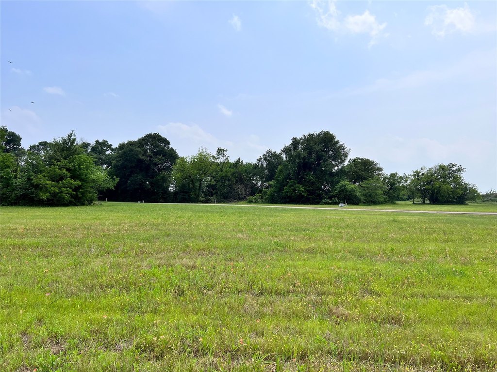 Picture 26