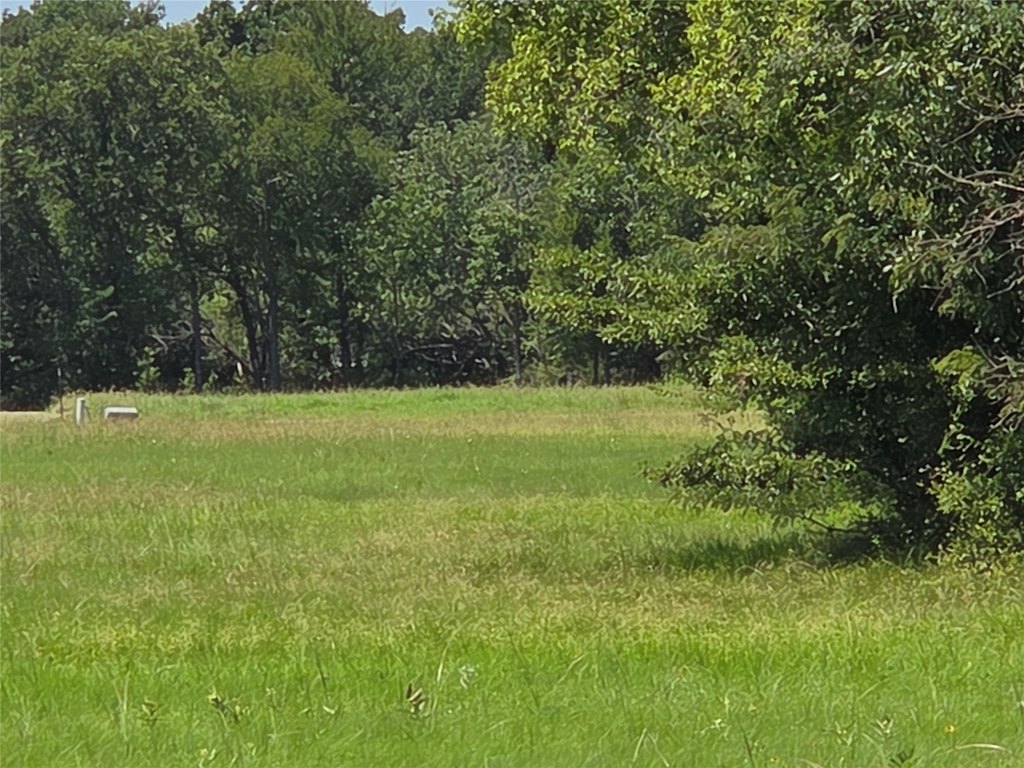 Picture 29