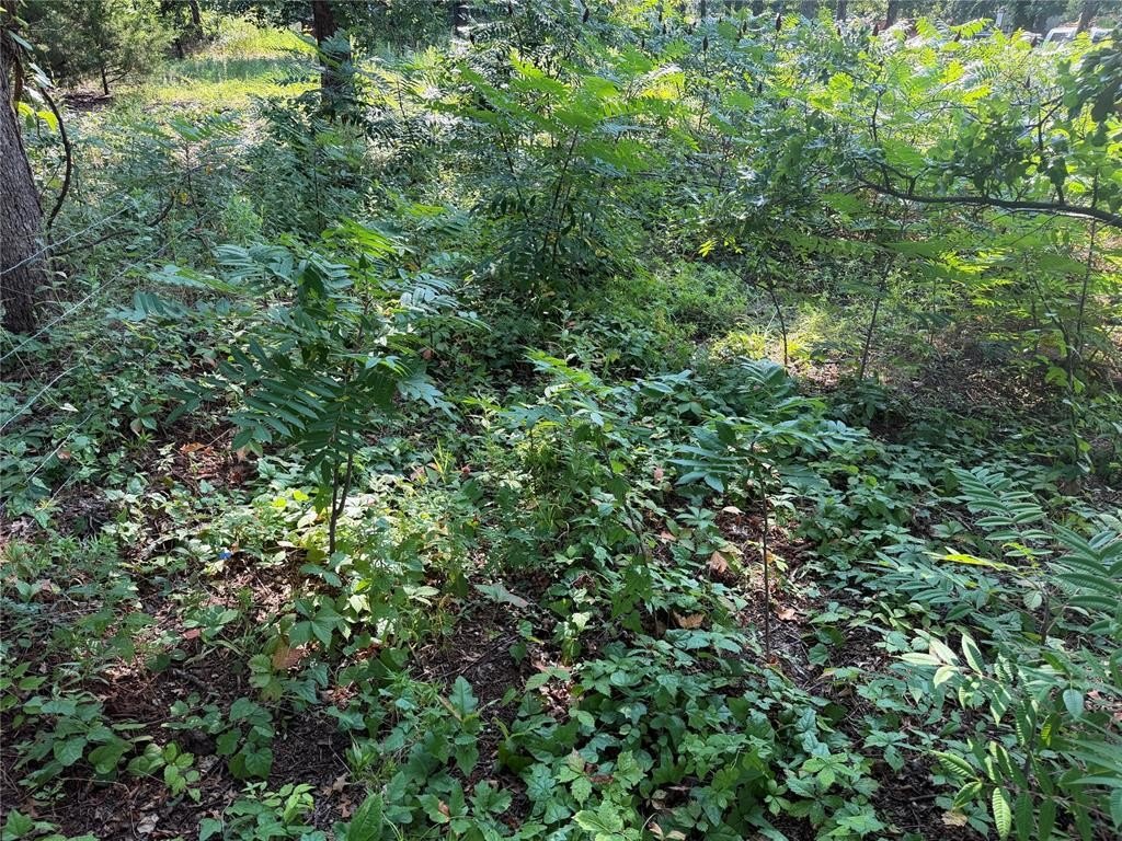 Picture 11