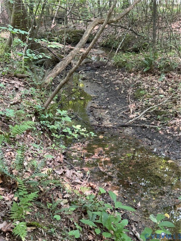 Picture 7