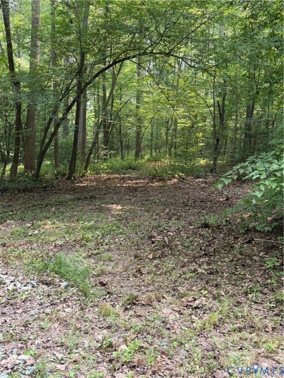 Picture 15